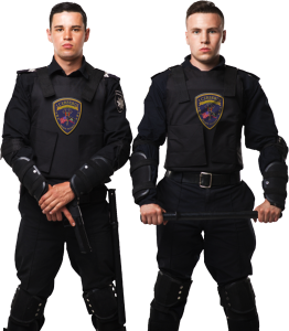 armed Bank Security service